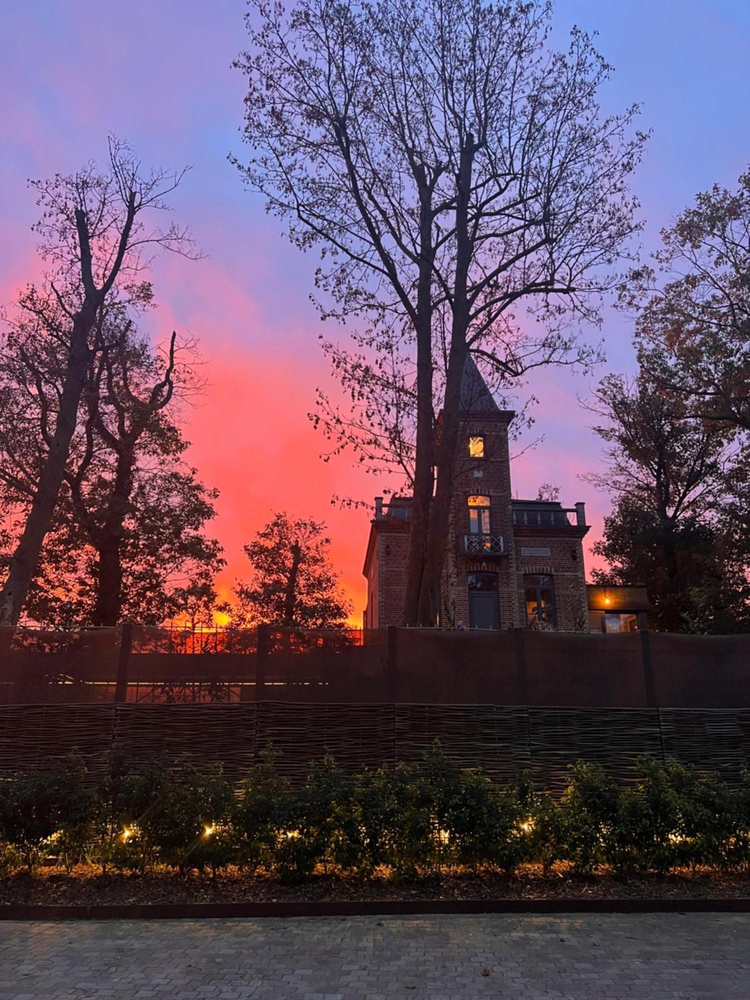 ポペリンゲ Terp Bed & Breakfast エクステリア 写真